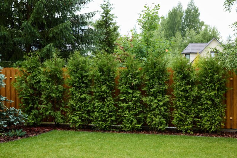 Yard waste bags filled with trimmed branches